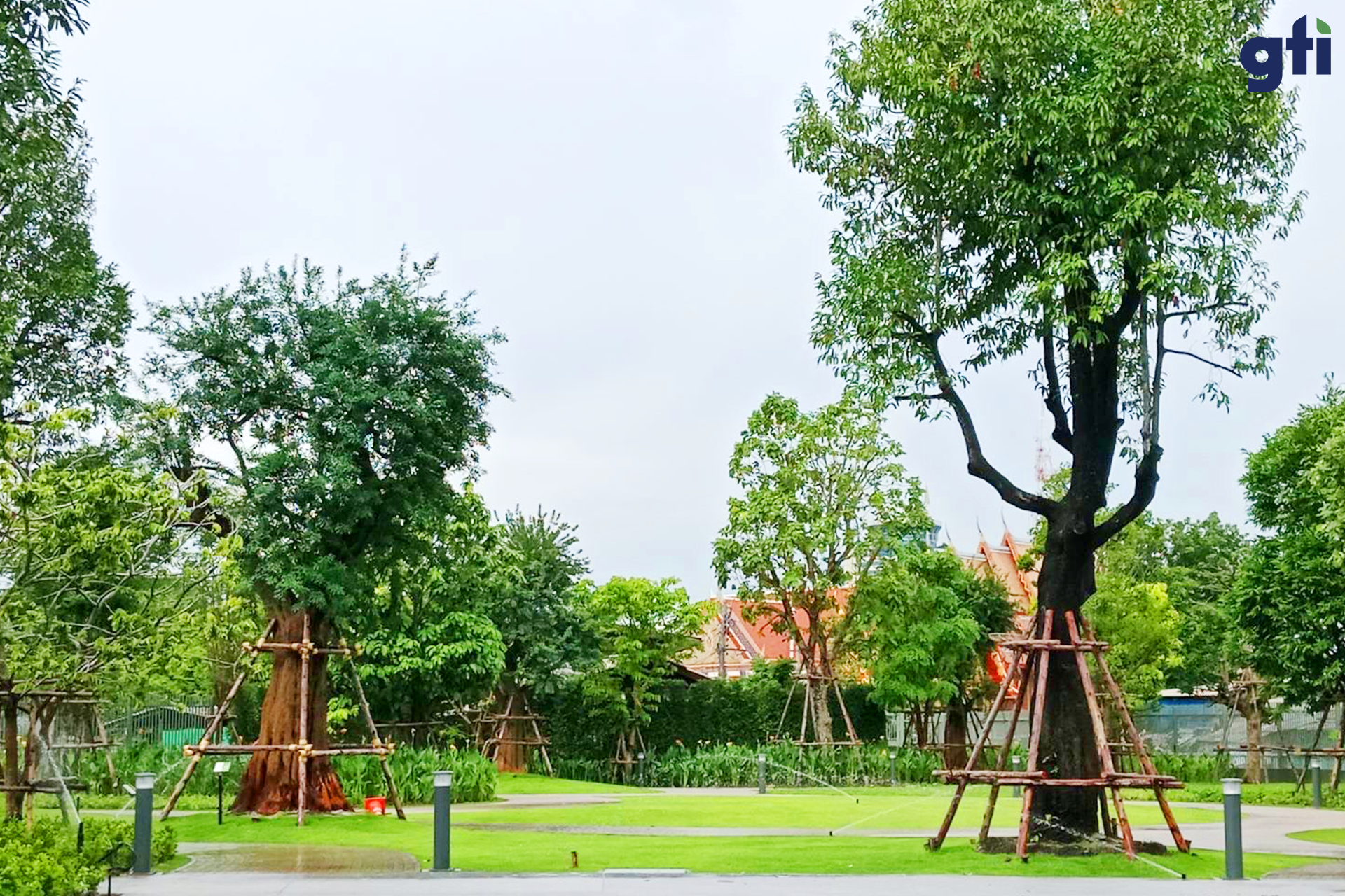 240905134504_สวนเฉลิมพระเกียรติ-058png.png