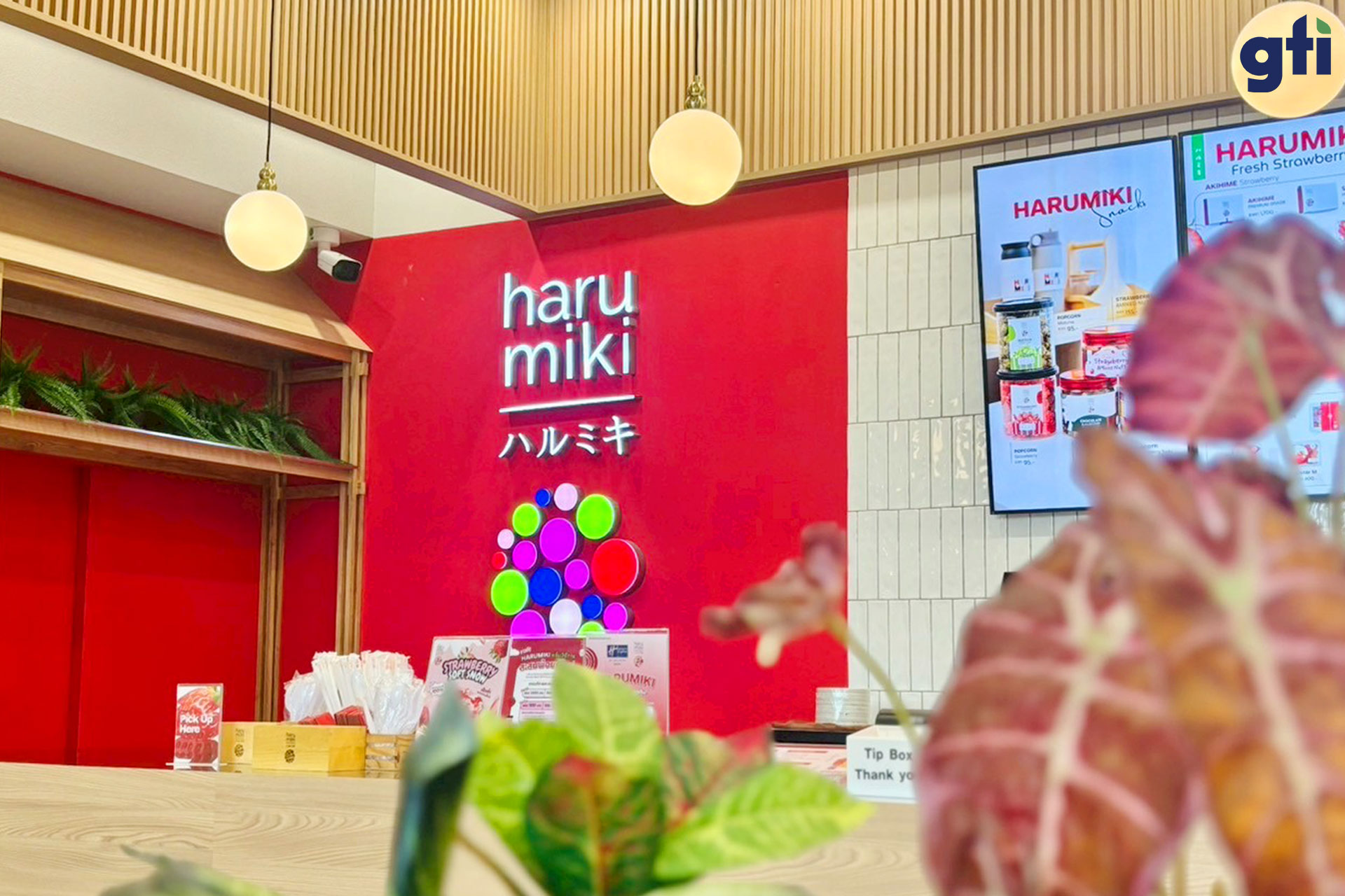 250418162438_Harumiki-016.jpg